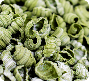 Conchiglie